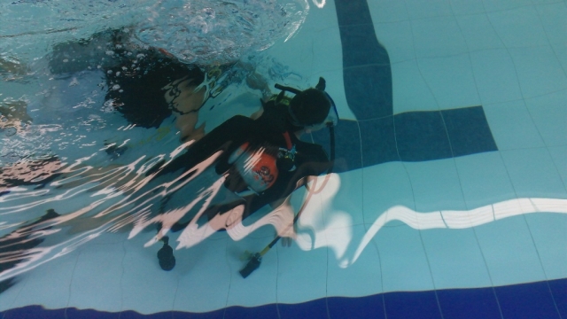  Diving skills 